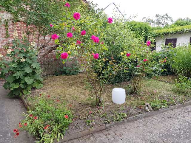 Innenhof mit Garten, mit Rosen