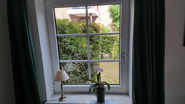 Blick durch das Wohnzimmerfenster auf den Rasen.