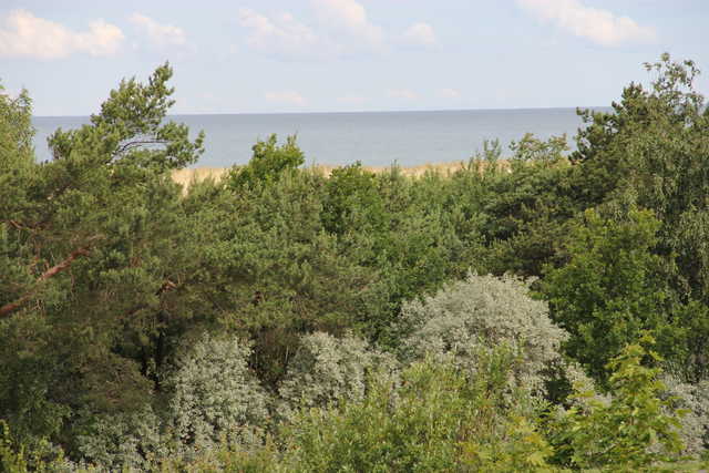 Blick vom Balkon zur Ostsee