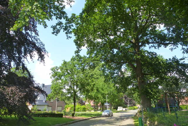 Dorfstraße in Hedendorf