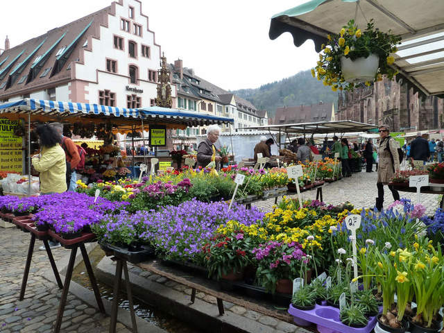 Freiburger Münstermarkt