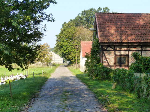 Dorfstrasse mit Blick aufs Grundstück