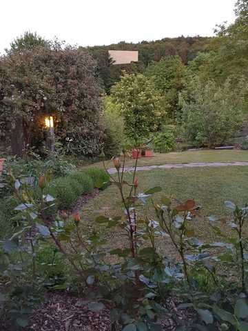 Abendstimmung im Garten