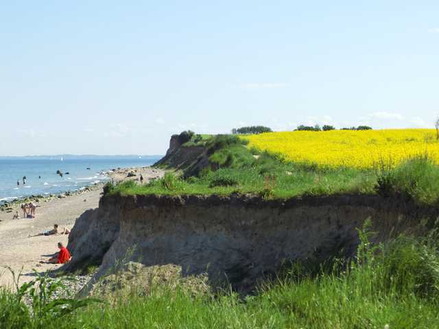 Schönhagens Steilküste