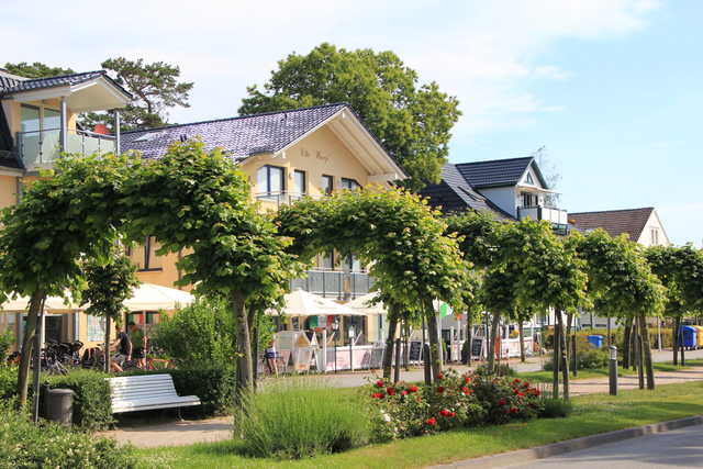Villa Wauzi