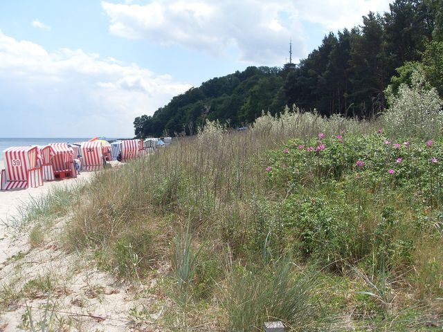 Strand von Thiessow
