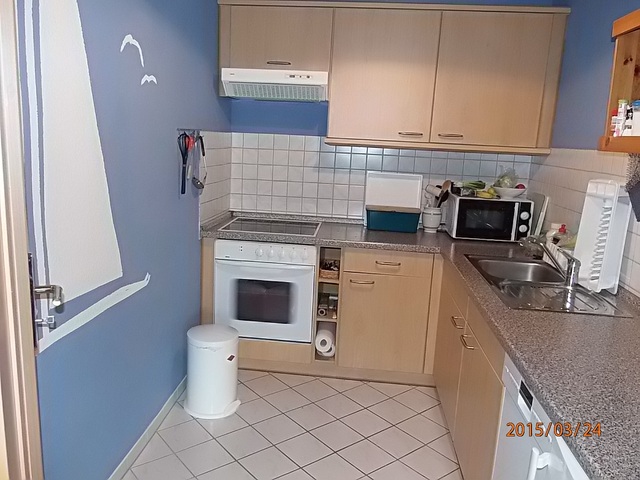 Küche mit Geschirrspüler