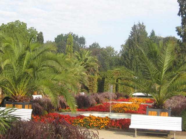 Palmgarten im Kurpark von Bad Pyrmont