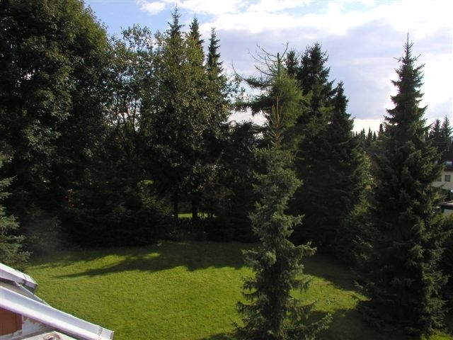 Blick vom Balkon in den Garten