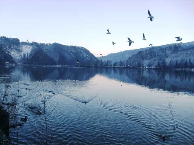 An der Donau in Obernzell im Winter