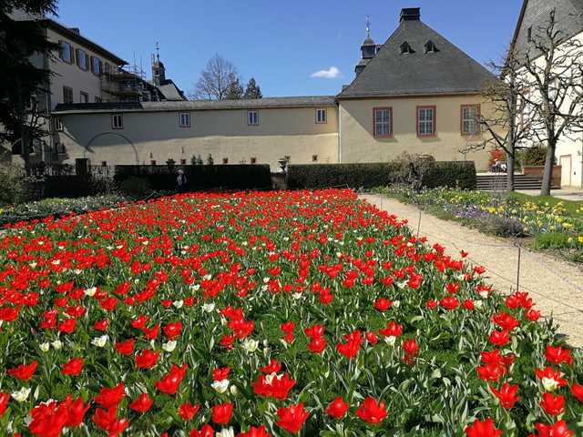 ORANGERIE in Bad Homburg am Schloss