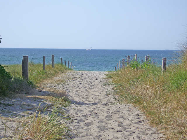 Strand Dierhagen