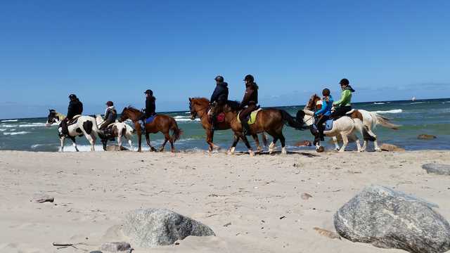 Strandausflug zu Pferd