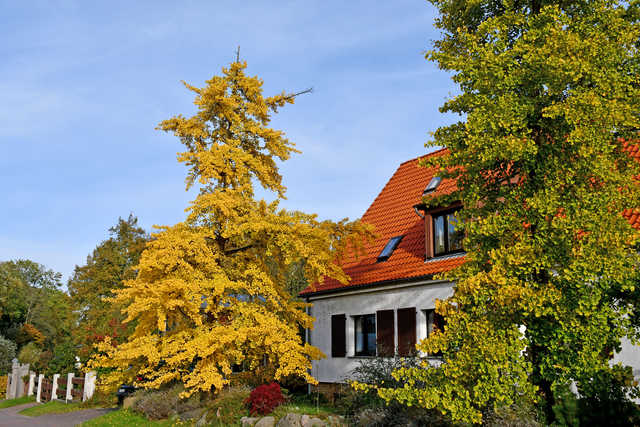 Ferienhaus in Lauterbach mit Kachelofen