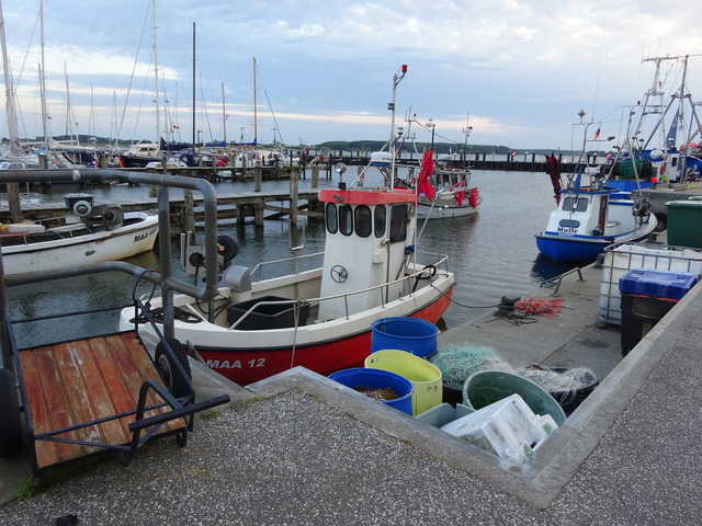 Maasholmer Hafen