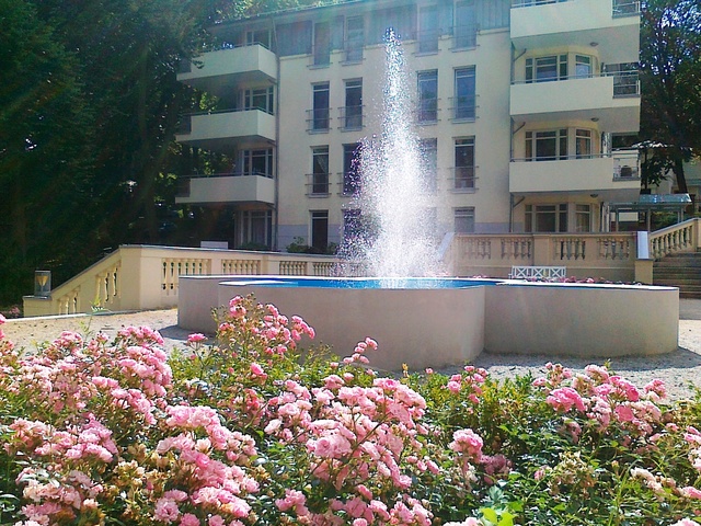 Springbrunnen im Rosengarten