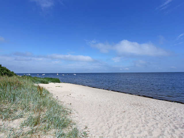 Strand am Greifswalder Bodden