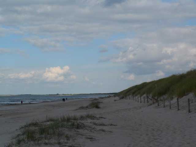 Strandabschnitt mit Dünenlandschaft