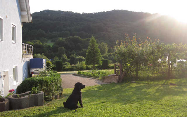 Ferienwohnung Walberlablick mit Garten und Hund
