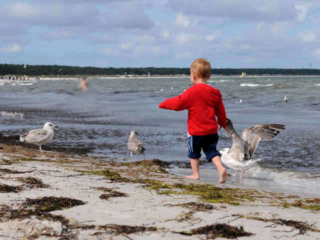 Familienurlaub am Ostseestrand