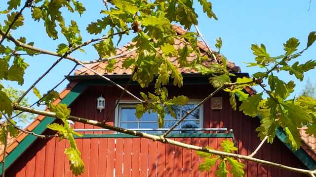 Am Bernsteinweg Dachgeschoßwohnung mit Blick in den Darßwald