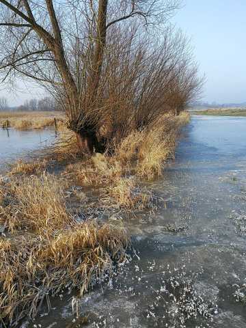 Gerfrorenes Winterhochwasser