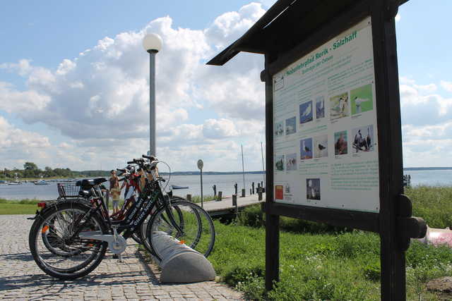 Ostsee-Küsten-Radweg an der Seepromenade Rerik