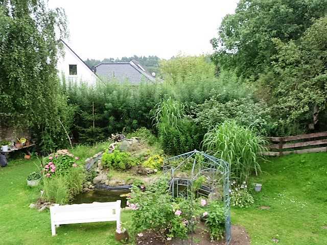 Garten Haus Gundelrebe