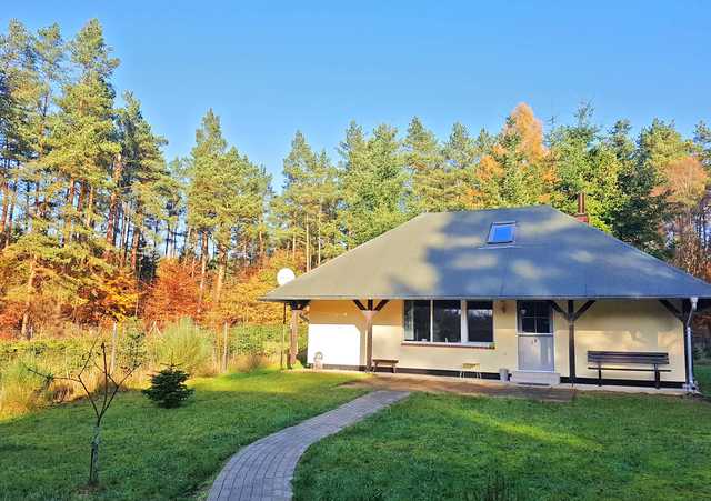 Ferienhaus im Wald Lübberstorf WEST 361 Ferienhaus in Alleinlage auf Waldlichtung