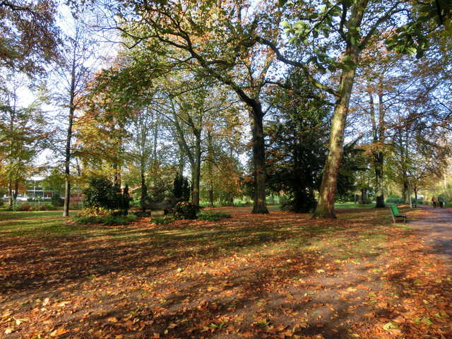 Der naheliegende Stadtpark im Herbst. Links im ...