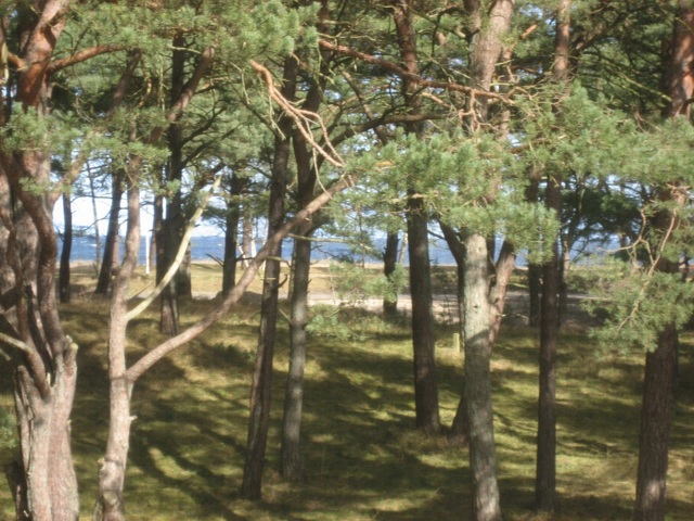 Blick zur Ostsee