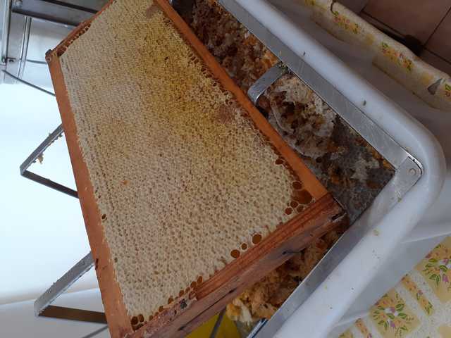 Honig gibt es bei uns vom Imker nebenan