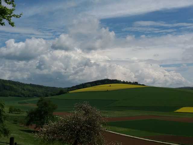 Landschaft im Neckartal