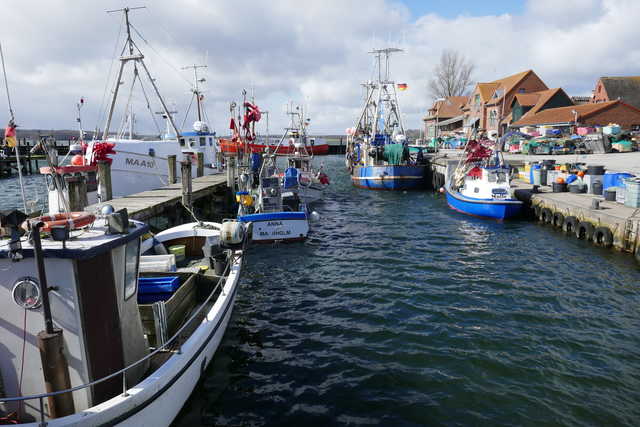 Fischerboote in Maasholm