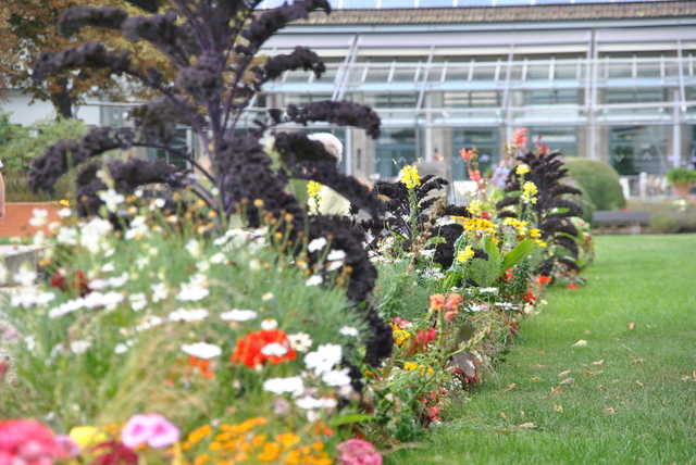 Blüten im Kurpark