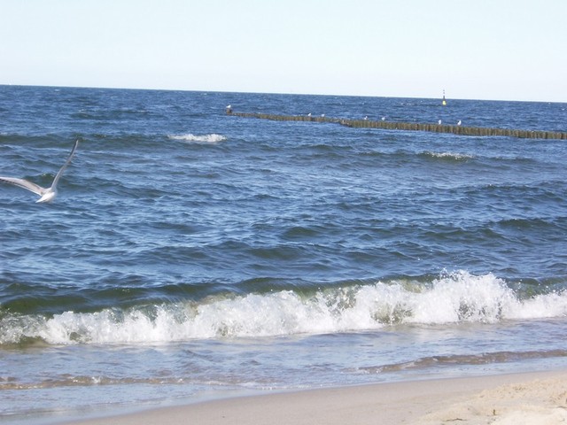 Ostsee in nur 300m zu Fuß zu erreichen, Stranda...