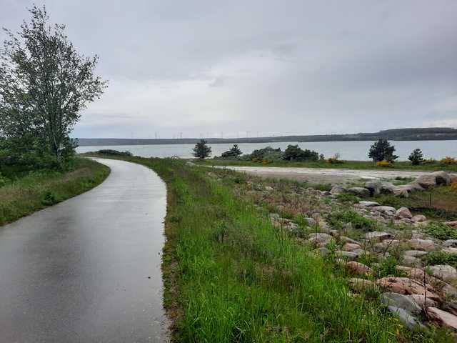 Radweg zum Aldöberner See