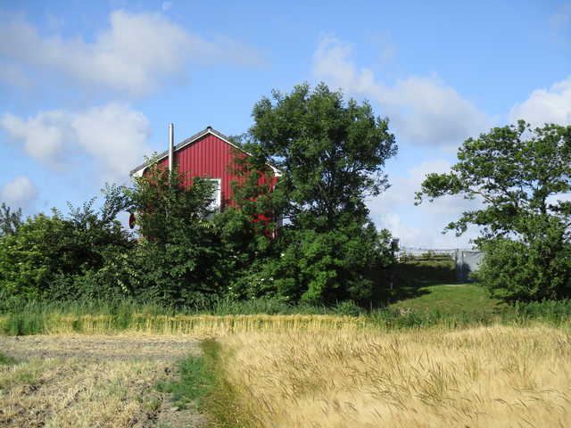 Blick vom Feld auf das Rote Atelierhaus