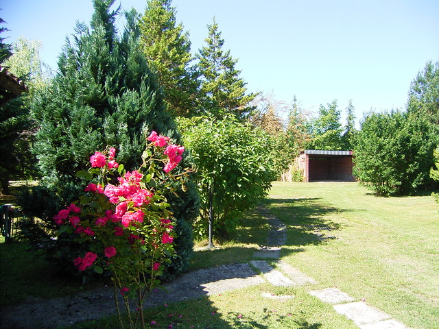 Garten mit Carport-Stellplatz
