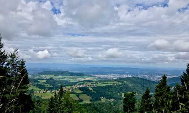 Ausblick über Freiburg und die Rheinebene