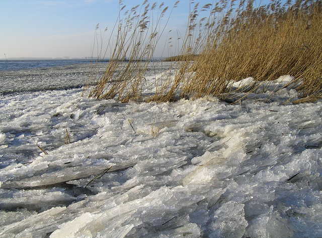 Elbe im Winter