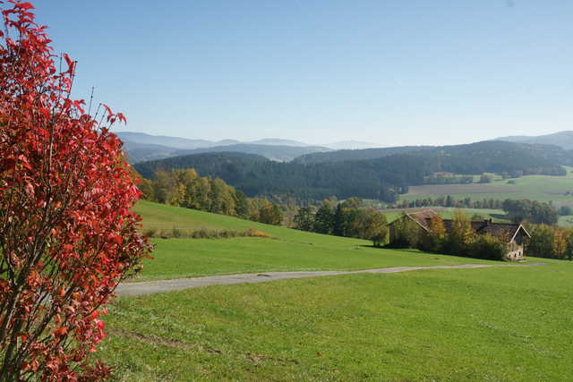 Landschaft des Bayerischen Waldes bei Sankt Eng...
