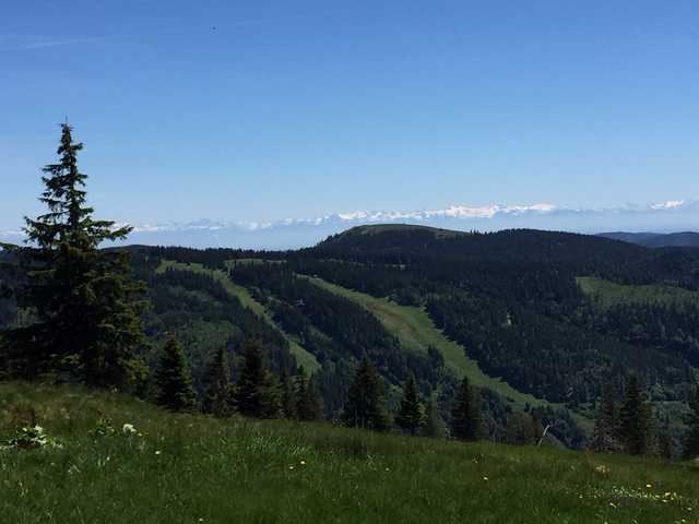Fernsicht auf die Schweizer Alpen