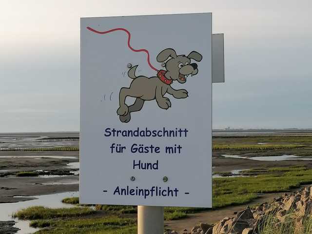 Infoschild für Hunde am Strand (Leinenpflicht)