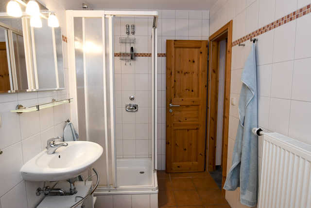 Dusche + WC im Erdgeschoß . Bild 2