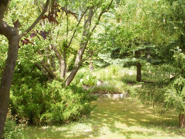 Garten am Bungalow