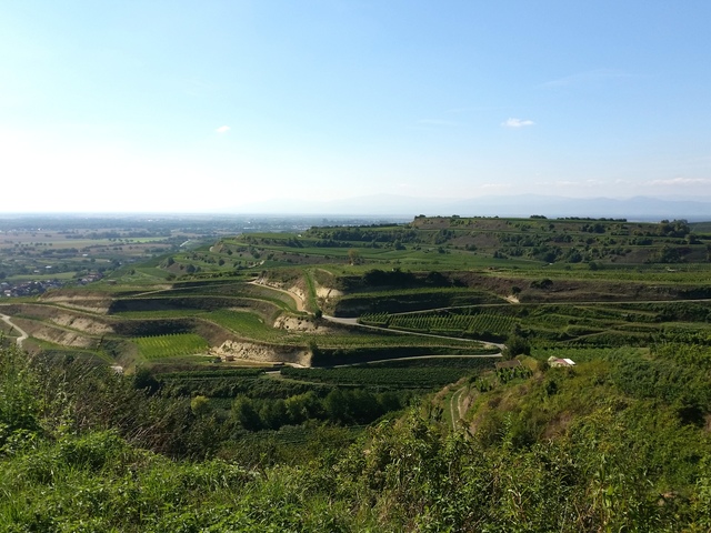 Kaierstuhl Wein- und Wanderregion