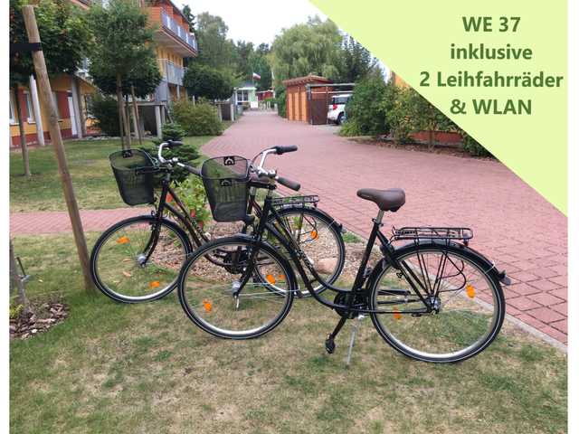 Zempin Ostseepark WE 37 **Insel Usedom**150m zum Strand** 2 Fahrräder freie Nutzug nach vorhanderer Gebra...