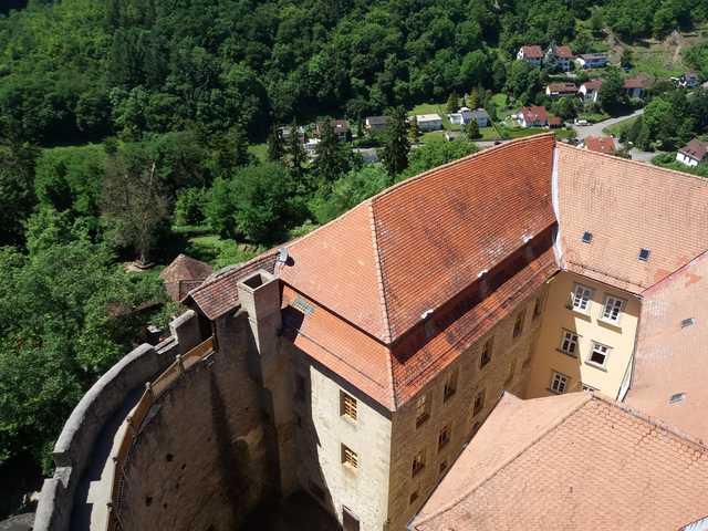 Burg Guttenberg (deutsche Greifvogelwarte)