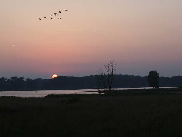 Sundown im Naturschutzgebiet